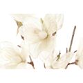 Flor Decorativa Dkd Home Decor Branco Poliéster (40 X 10 X 135 cm)