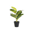 Planta Decorativa Dkd Home Decor Preto Verde Pvc Pp (25 X 25 X 30 cm)