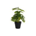 Planta Decorativa Dkd Home Decor Preto Verde Pvc Pp (20 X 20 X 30 cm)