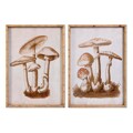 Pintura Dkd Home Decor Cristal Bambu Cogumelos (50 X 70 X 2,8 cm) (2 Unidades)