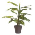Planta Decorativa Pvc Ferro 45 cm