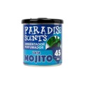 Ambientador para Automóveis Paradise Scents Mojito (100 gr)