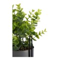 Planta Decorativa Cinzento Eucalipto com Suporte Metal Plástico (13 X 40 X 13 cm)