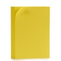 Papel Borracha Eva 10 (65 X 0,2 X 45 cm) (10 Peças) Amarelo