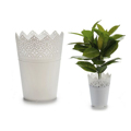 Vaso Branco Plástico Branca 14,3 x 18,2 x 14,3 cm