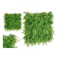Kit para Jardim Vertical Verde Plástico (50 X 4 X 50 cm)