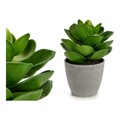 Planta Decorativa Cinzento Verde Plástico (16 X 20 X 16 cm)