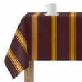 Toalha Resinada Antinódoas Harry Potter Gryffindor 100 X 140 cm