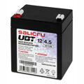 Bateria para Sai Salicru Ubt 12/4,5 Vrla 4.5 Ah 12V