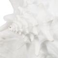 Figura Decorativa Branco Concha 21 X 19 X 13 cm