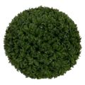 Planta Decorativa Verde Pvc 24 X 24 cm