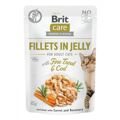 Comida para Gato Brit Jelly Frango