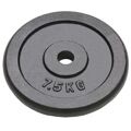  Discos de Musculação 4 Un. 30 kg Ferro Fundido