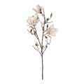 Ramalhetes Mica Decorations Magnolia (88 cm)