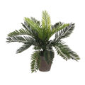 Planta Decorativa Mica Decorations Cerâmica Palmeira (11,5 X 33 cm)