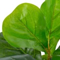 Planta Figo Folhas de Violino Artificial com Vaso 45 cm Verde