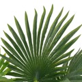 Palmeira Artificial com Vaso 70 cm Verde