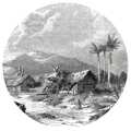 Wallart Papel de Parede Circular "landscape Of Guadeloupe" 142,5 cm