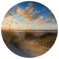 Wallart Papel de Parede Circular "beachlife" 142,5 cm
