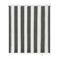 312679 Outdoor Roller Blind 60x140 cm Anthracite And White Stripe