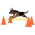 Conjunto de Obstáculos para Atividades Caninas Laranja/amarelo