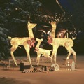 Família de Renas Decorativas de Natal 201 Luzes LED Dourado
