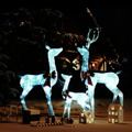 Família Renas Decorativas Natal 201 Luzes LED Branco/prateado
