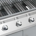 Grelhador/barbecue a Gás 4+1 Zonas de Cozinhar Prateado