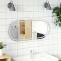 Espelho de Casa de Banho com Luzes LED Oval 100x45 cm