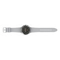 Smartwatch Samsung Galaxy Watch4 Classic Prateado ø 46 mm Cinzento