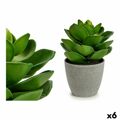 Planta Decorativa Cinzento Verde (16 X 21 X 16 cm) (6 Unidades)