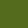 Cartolina Iris 29,7 X 42 cm Verde Militar (50 Unidades)