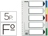 Separador Esselte de Plástico Conjunto de 5 Separadores Folio com 5 Cores Multiperfurado