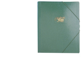 Pasta Classificadora Saro Cartão Compacto Folio com 12 Departamentos Verde