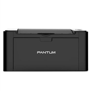 Impressora Laser Pantum P2500W 2500 W