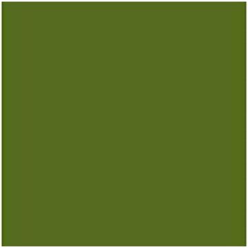 Cartolina Iris Verde Militar 50 X 65 cm (25 Unidades)