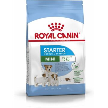 Penso Royal Canin Starter Mother And Babydog Adulto Pássaros 1 kg