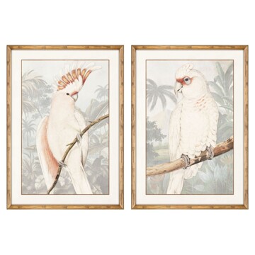 Pintura Dkd Home Decor Papagaio (50 X 2 X 70 cm) (2 Pcs)