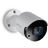 Video-câmera de Vigilância Trendnet TV-IP1514PI