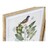 Pintura Dkd Home Decor Bird (55 X 2.5 X 70 cm)