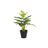 Planta Decorativa Dkd Home Decor Preto Verde Pvc Pp Lírio (25 X 25 X 30 cm)