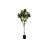 árvore Dkd Home Decor Limoeiro Poliéster (74 X 74 X 150 cm)