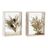Flor Decorativa Dkd Home Decor Bege Castanho Bloemen Madeira Mdf (16 X 6 X 21 cm) (2 Unidades)
