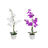 Flores Decorativas Dkd Home Decor Lilás Branco Verde (44 X 27 X 77 cm) (2 Unidades)