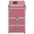 Caixa de Maquilhagem 37x24x40 cm Alumínio Cor-de-rosa