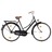 Bicicleta Holandesa 28" Mulher