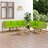 Conjunto Lounge de Jardim C/ Almofadões Verde Brilhante 6 pcs