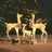 Família de Renas Decorativas de Natal 201 Luzes LED Dourado