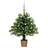 Árvore de Natal Artificial com Luzes LED e Bolas 65 cm Verde
