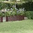 Vaso/floreira de Jardim Aço Revestido a Pó 152x40x36cm Castanho